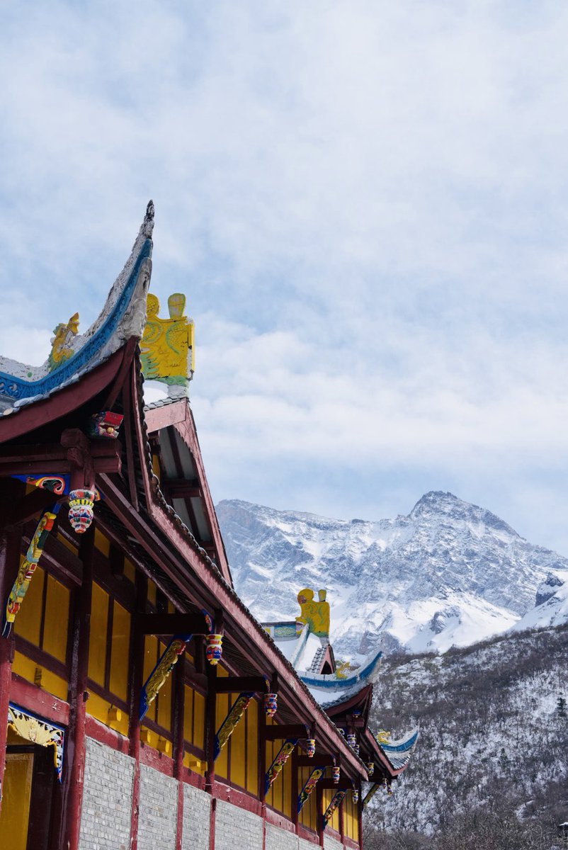 notebook tweet media