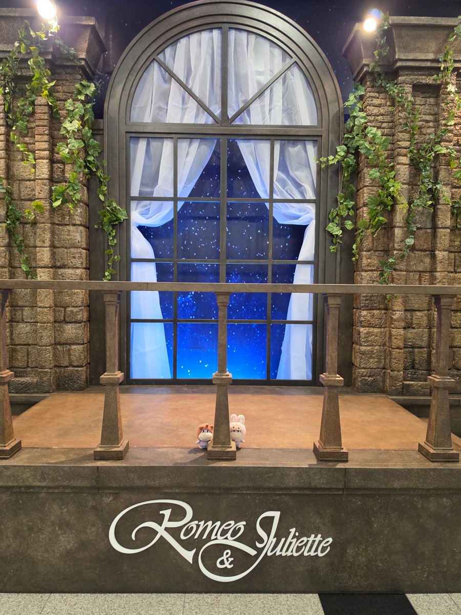 얌미ෆ tweet media