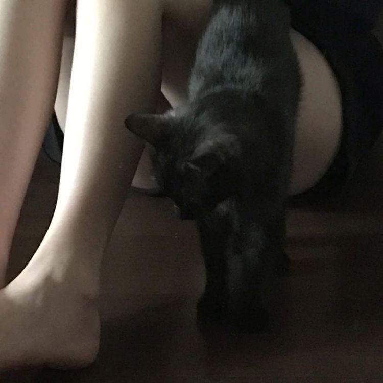 elle | 16 days binge free tweet media