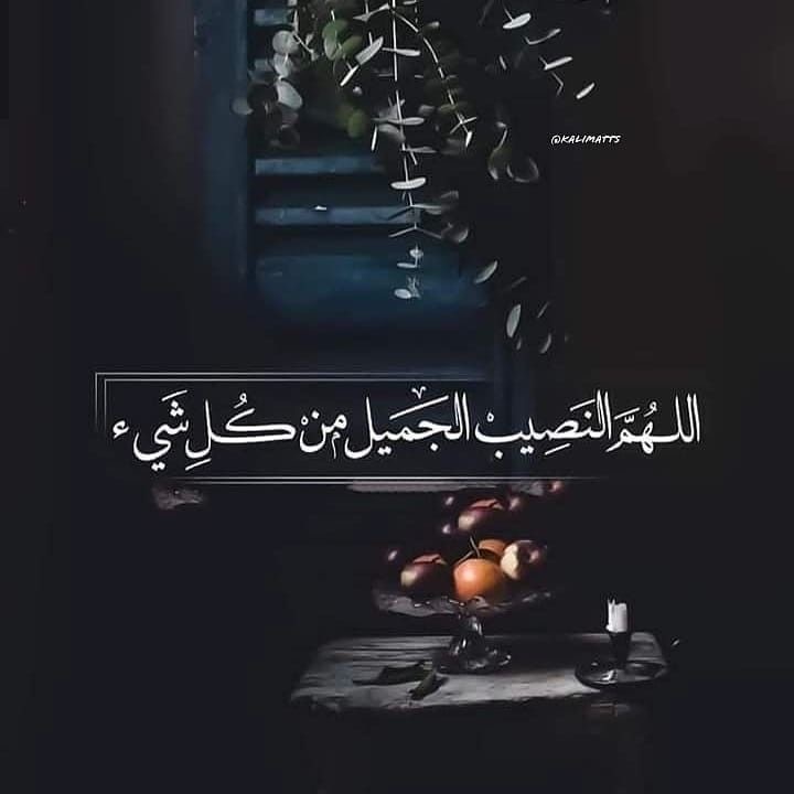 ⚜ حَامْـ ـد ⚜ tweet media