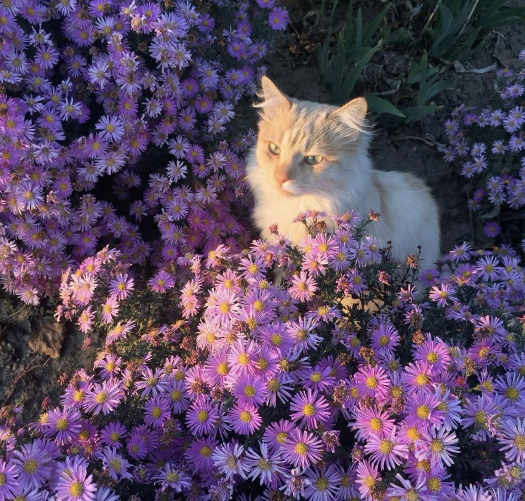 maggie ♛ tweet media