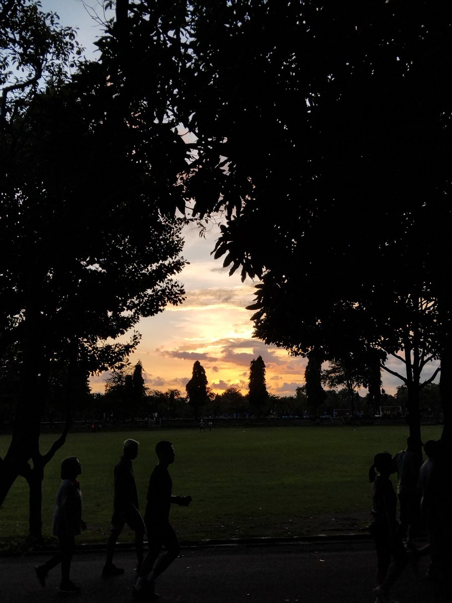 rara/dewi 🐠🍤 tweet media