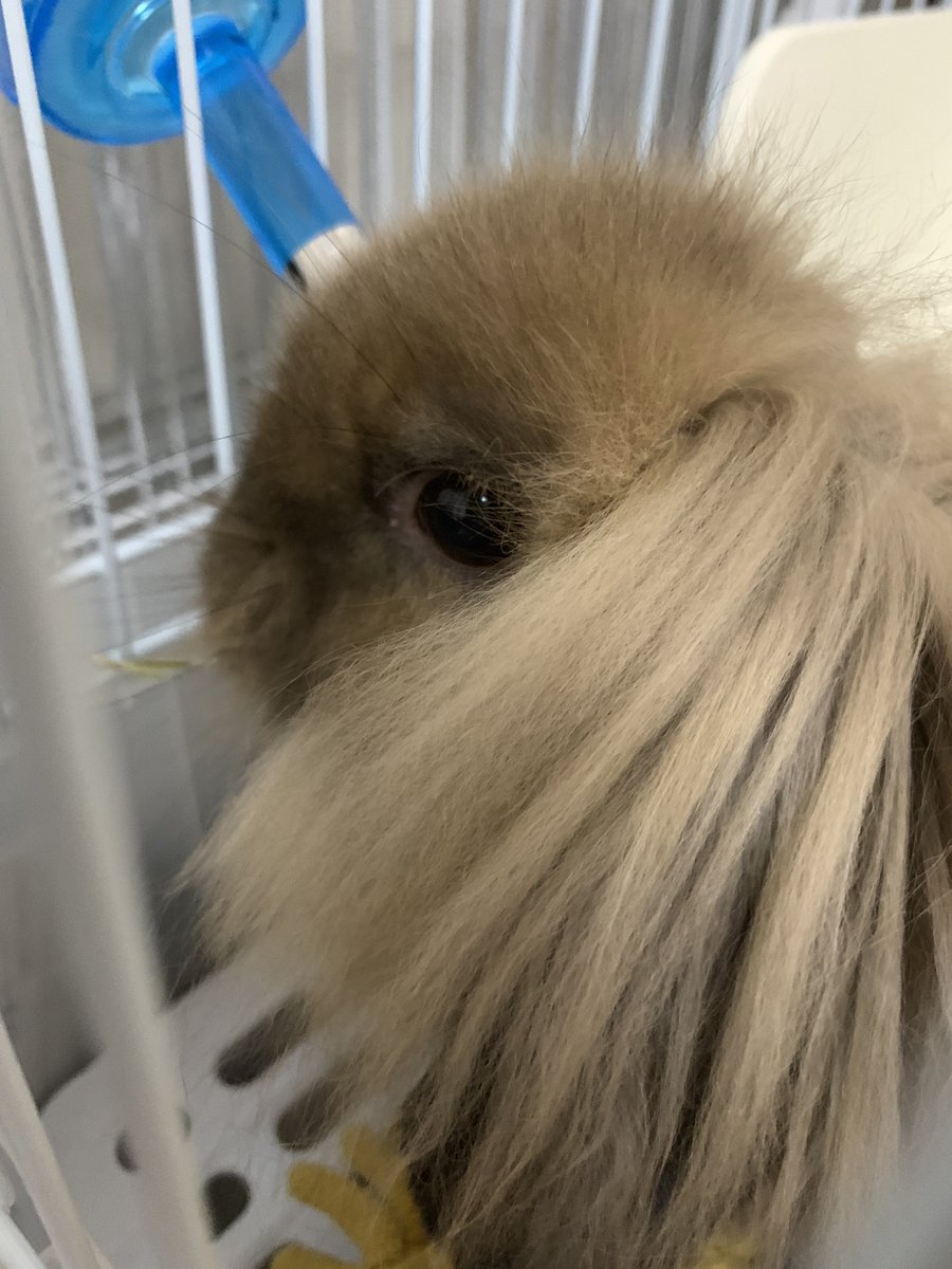 #これが0歳時代だ参ったか

ばぶ🍼