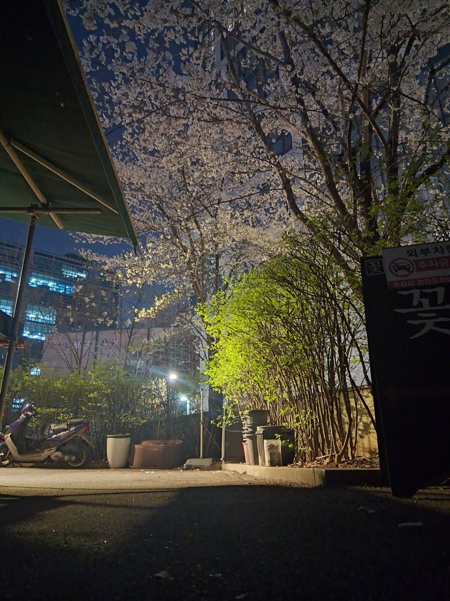 뇨뇨뇽 뇨뇨뇨 tweet media