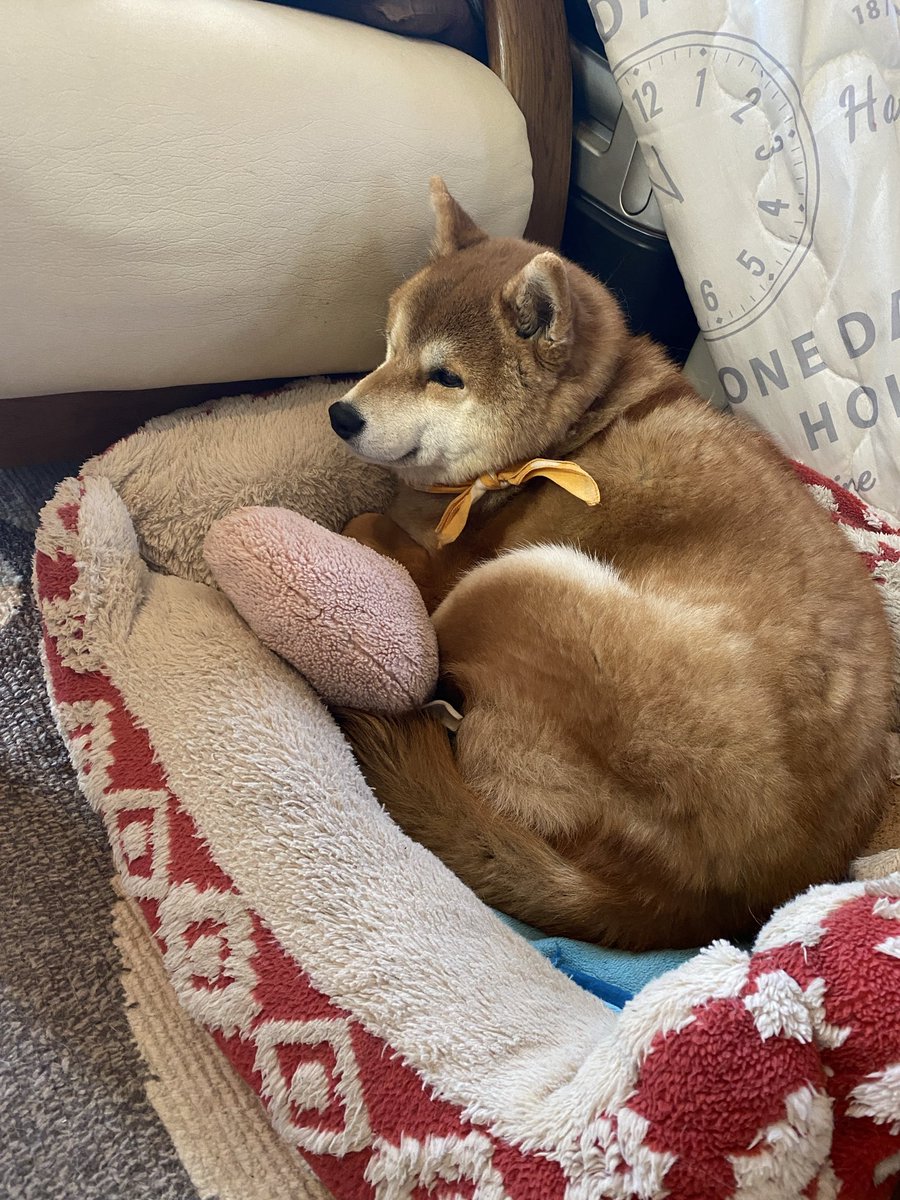 zoumotsu@ゲーム好き電工 tweet media