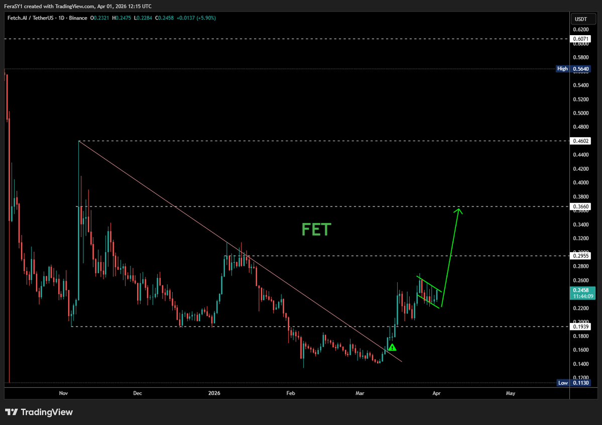 Crypto Feras  tweet media