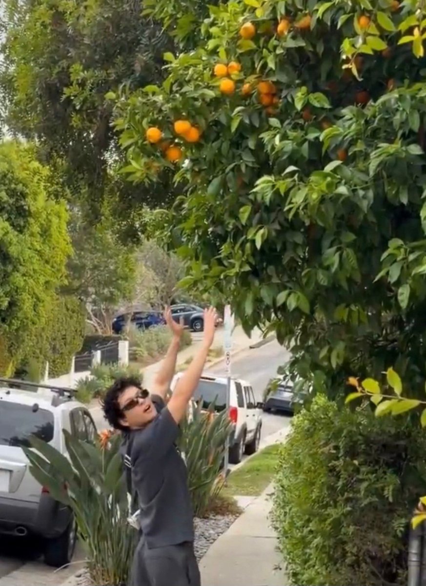 Omar As Stuffed Animals tweet media