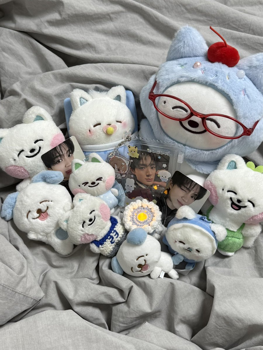 애옹:3⁶⁵ tweet media