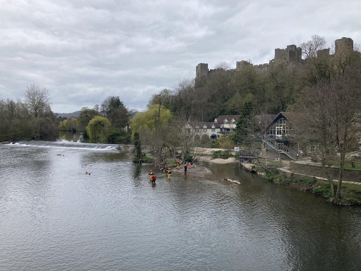 🐞Griff & Angels Boot 🌈 & Charley 🌈 tweet media