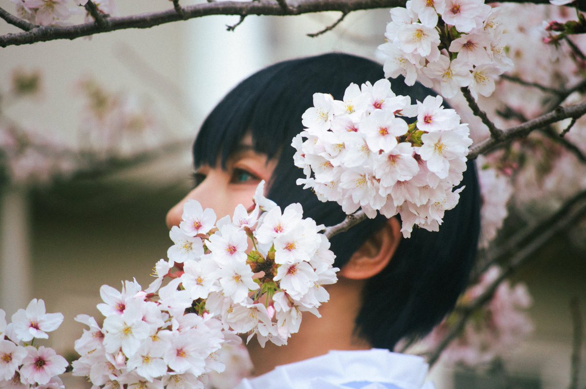 佐倉沙生 tweet media