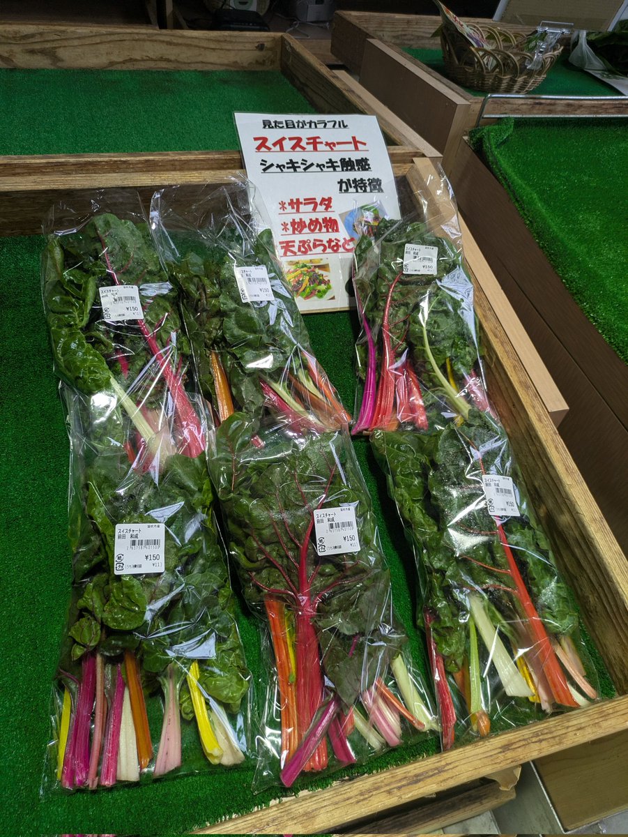 うさぎ tweet media