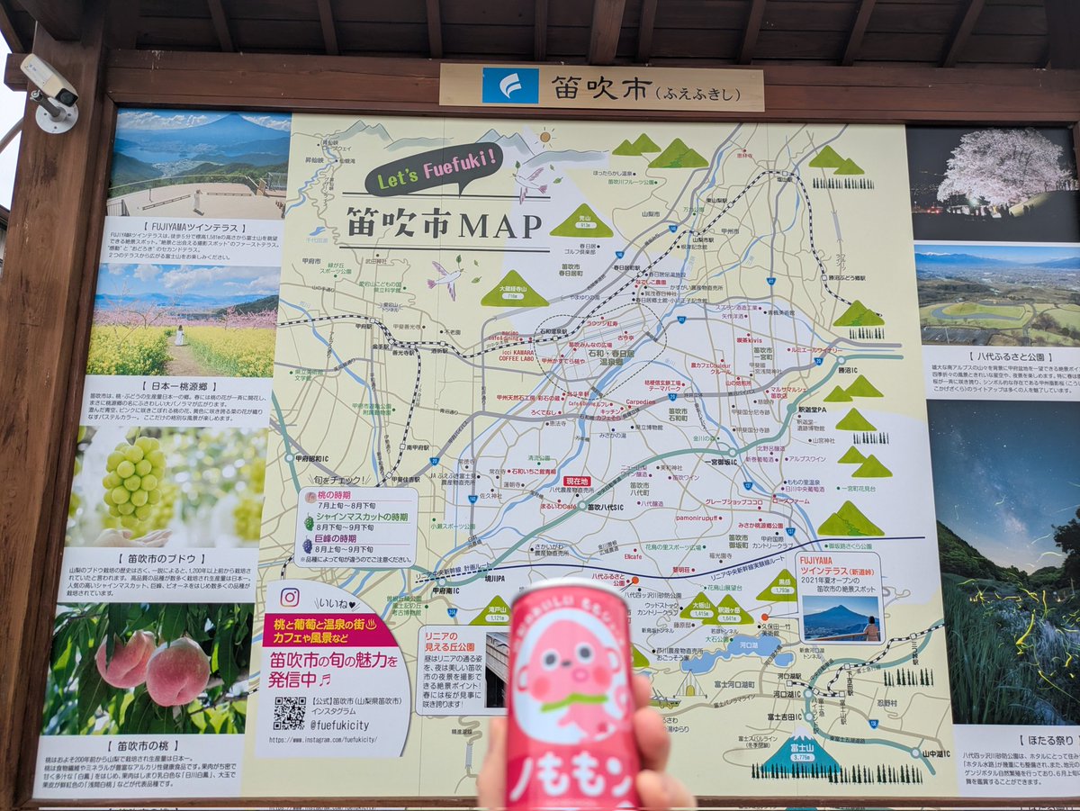 うさぎ tweet media