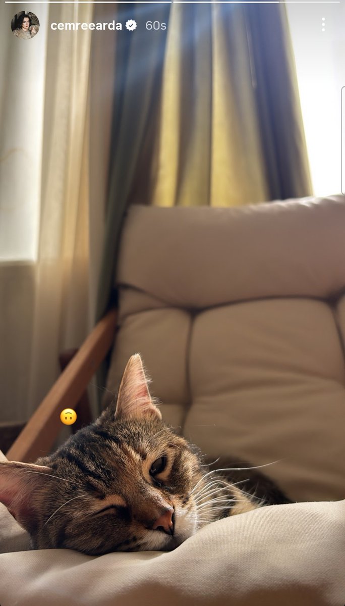 Cemre Arda Support tweet media