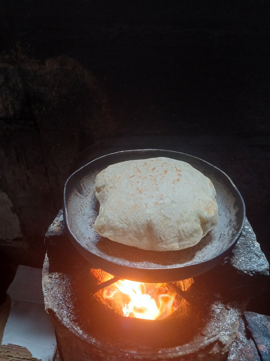 Shereen 𓂆 🇵🇸 tweet media