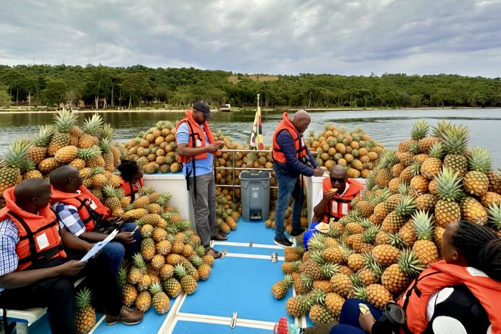 Jan Sadek tweet media