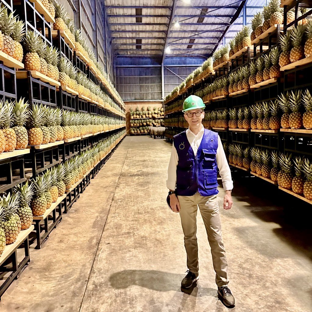 Jan Sadek tweet media