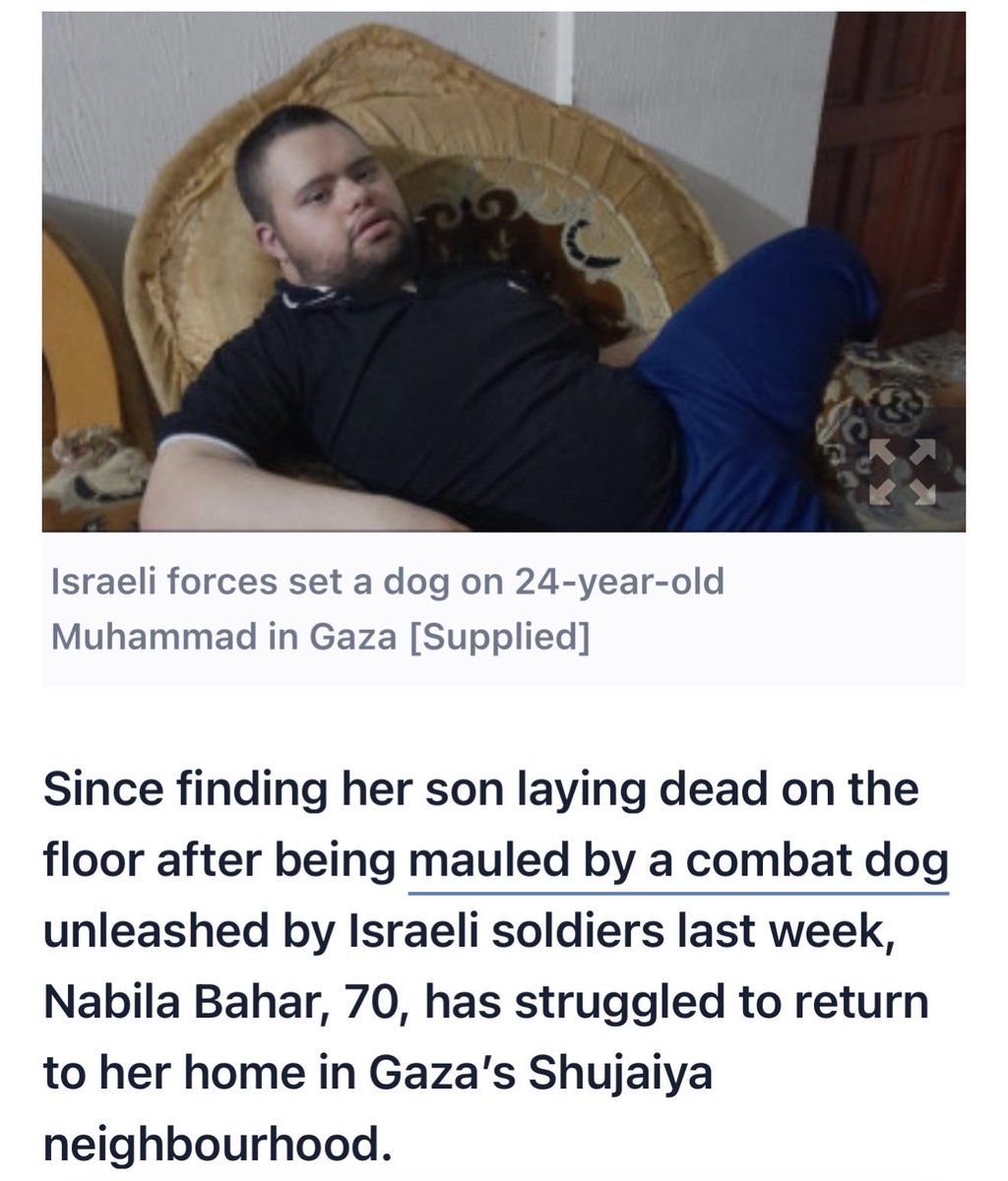 Xena_chronicle's tweet photo. @Parodyjeffx @NeonLamant When IOF killed a man with Downs syndrome by setting a dog in him
IOF forced his family to leave the house before unleashing a police dog on him, which tore him apart in front of his grieving mother, causing him to bleed to death. https://t.co/PpjhCyxCkI