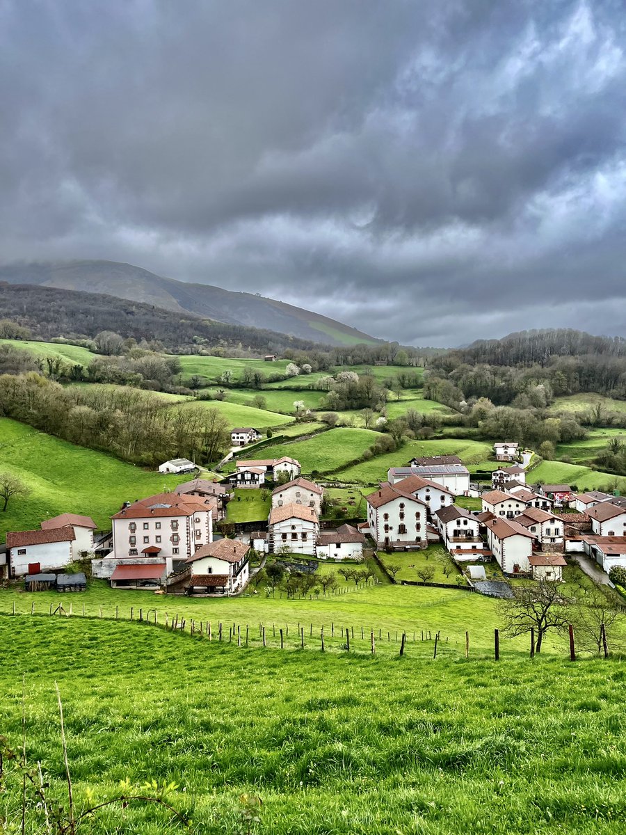 Rui Cavaleiro tweet media