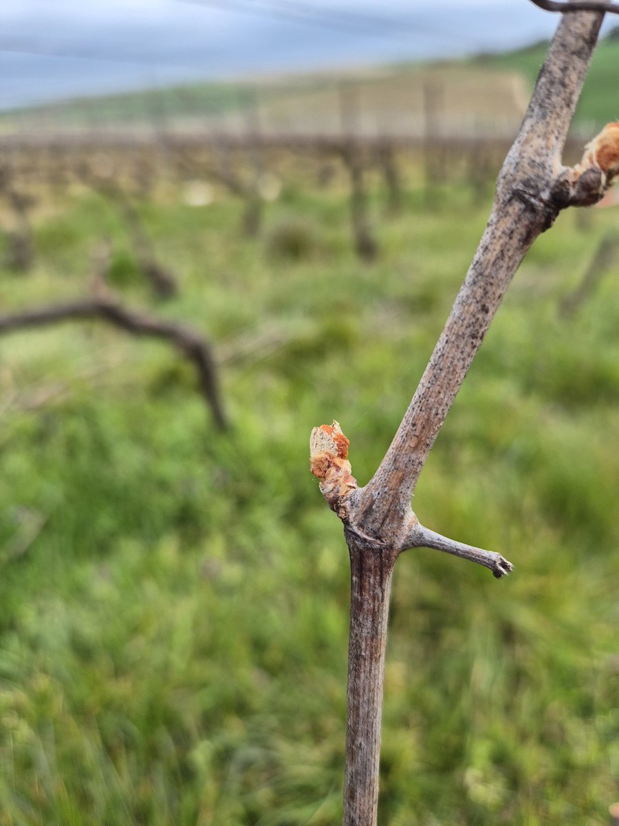 Fery Benoît tweet media