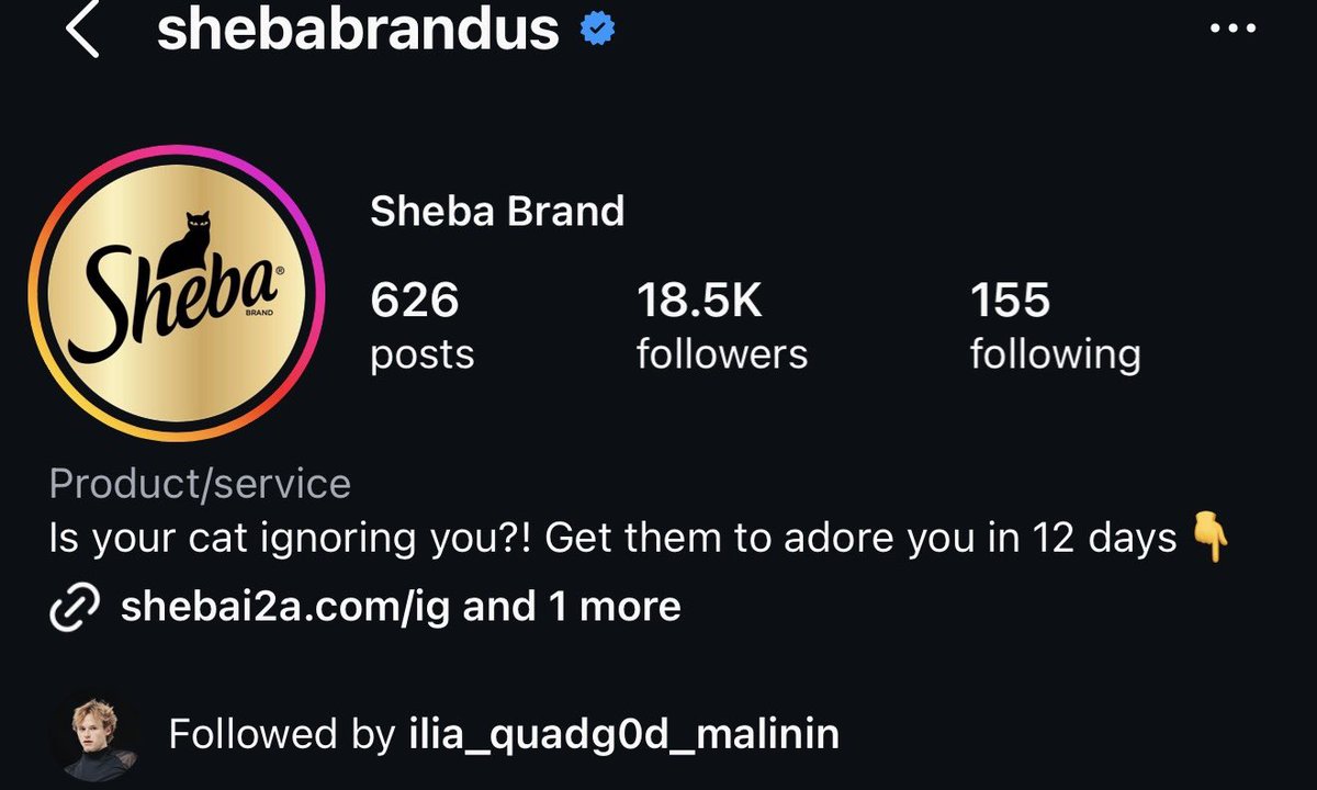 ilia‘s last brain cell tweet media