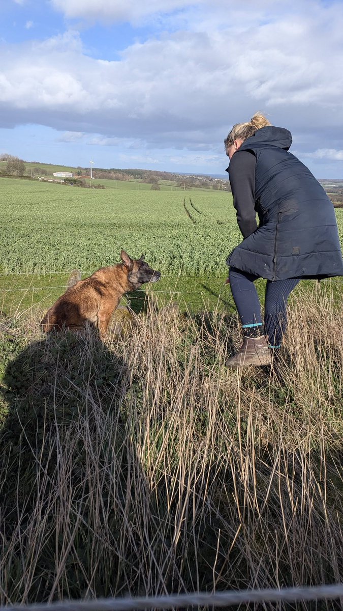 Animal Adoptions UK 🐕‍🦺🐈🐎❤️ tweet media