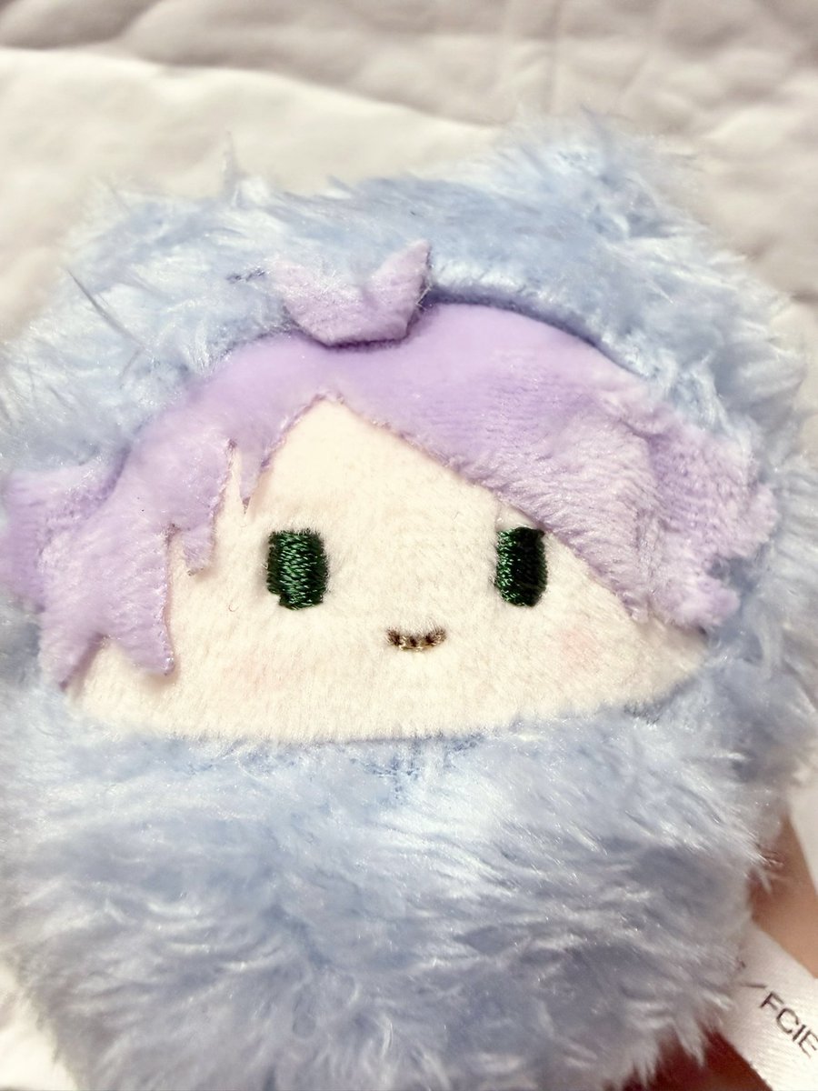 茶々丸 tweet media