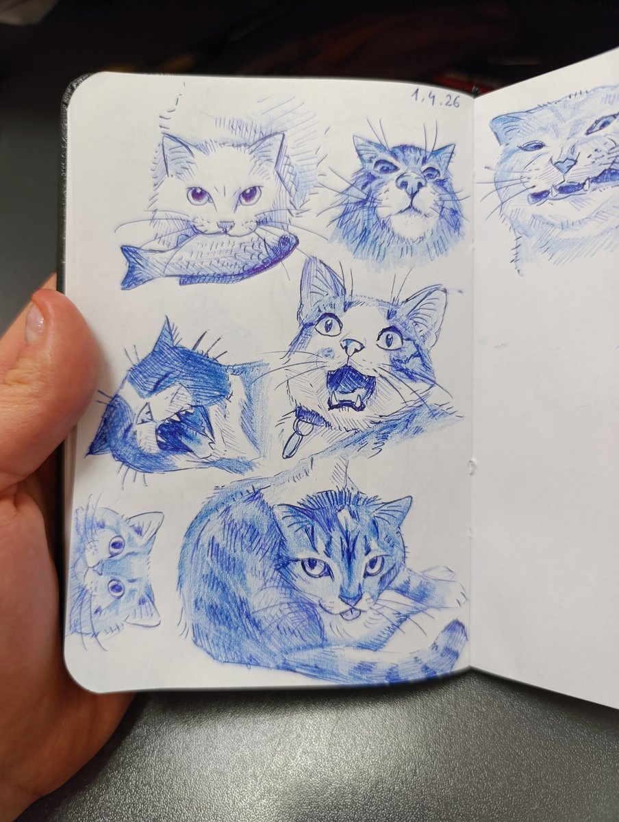 𓆟 ✨️GlassShine✨️𓆟 tweet media