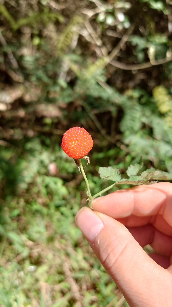 jack_Panda tweet media