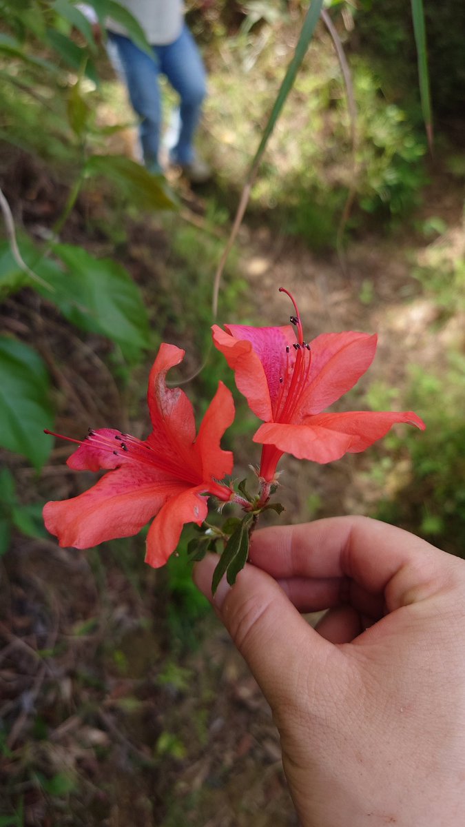 jack_Panda tweet media