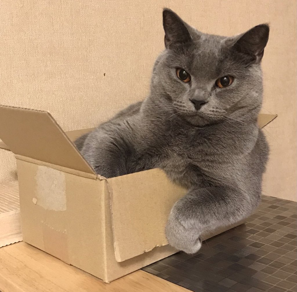 オッズくん tweet media