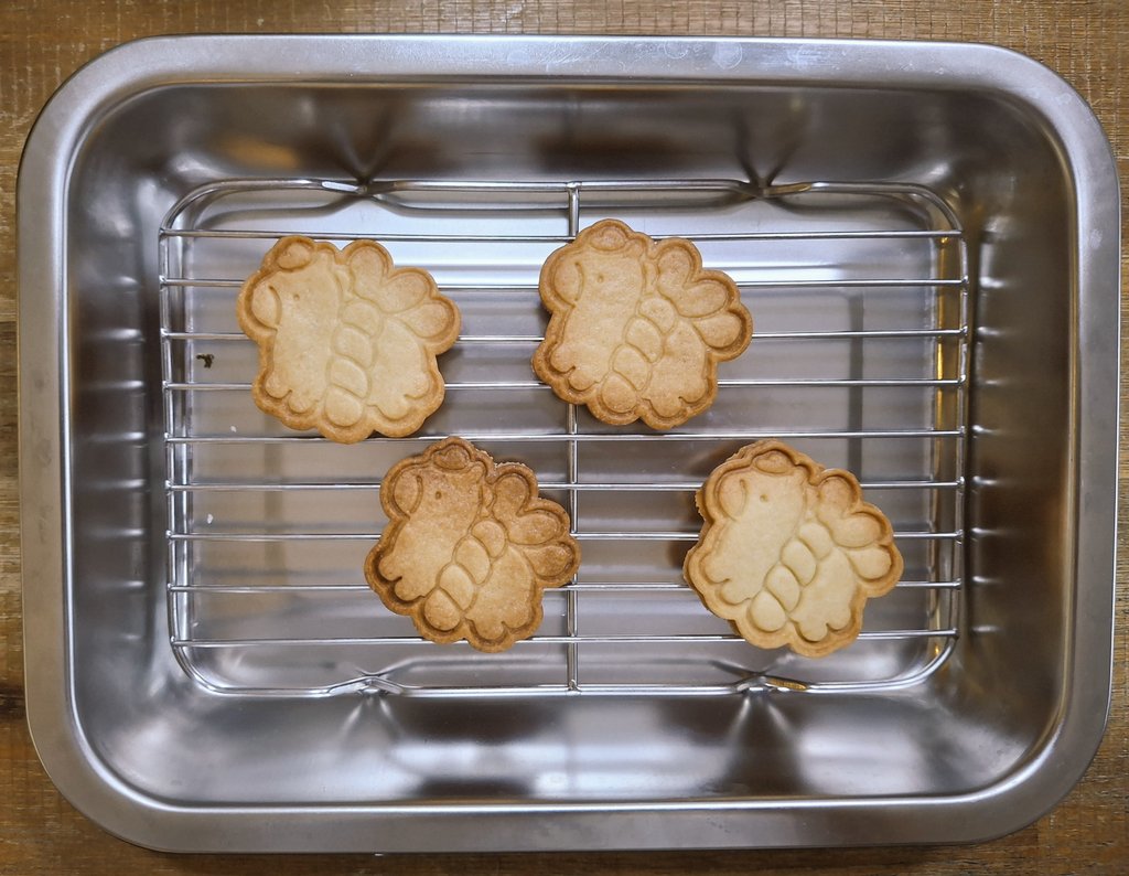 콩개🐎🕯 tweet media