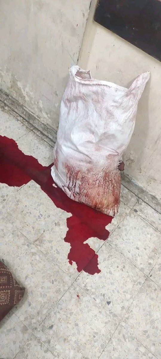 Motasem A Dalloul tweet media