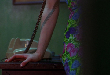 Stephen Gibbons tweet media