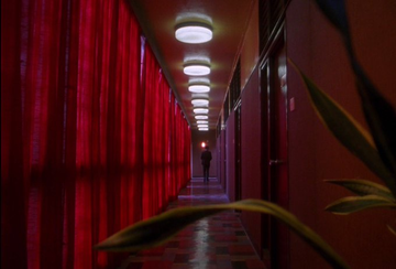 Stephen Gibbons tweet media