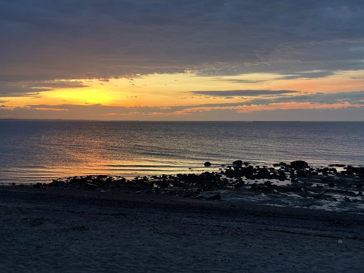 Walks with Buddy tweet media