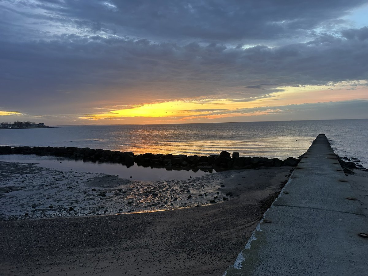 Walks with Buddy tweet media