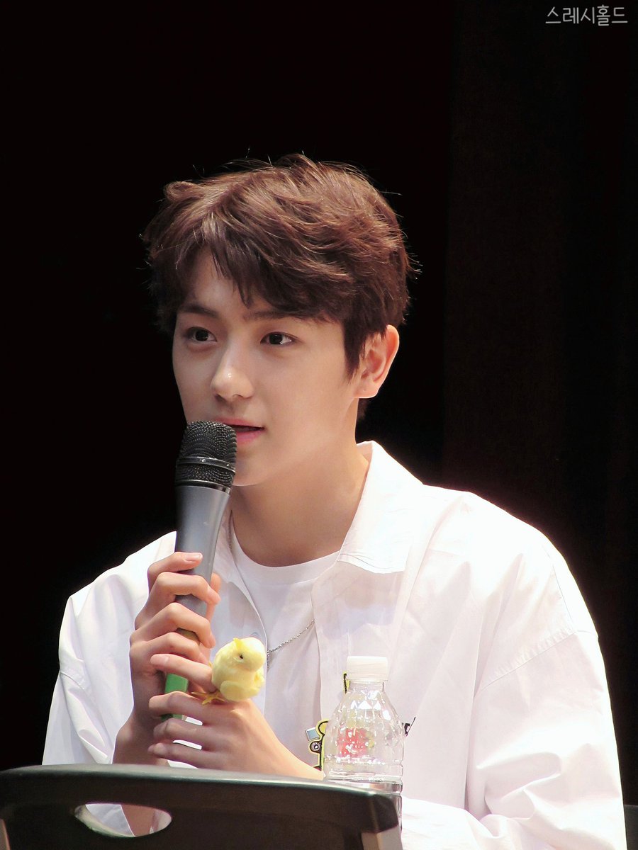 스레시홀드 tweet media