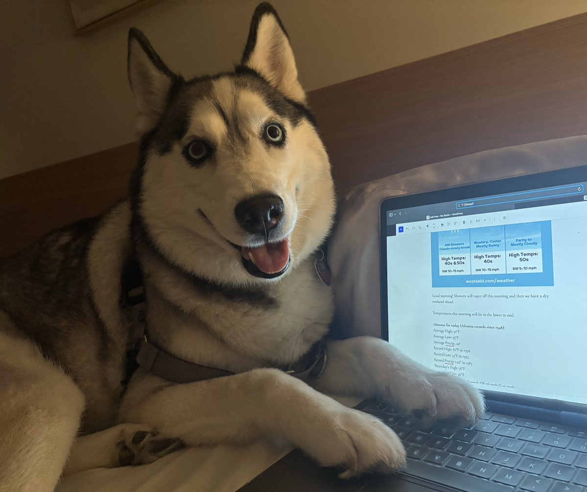 Christy Shields tweet media