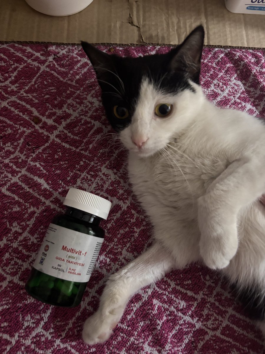 luna🍒 #boykot tweet media