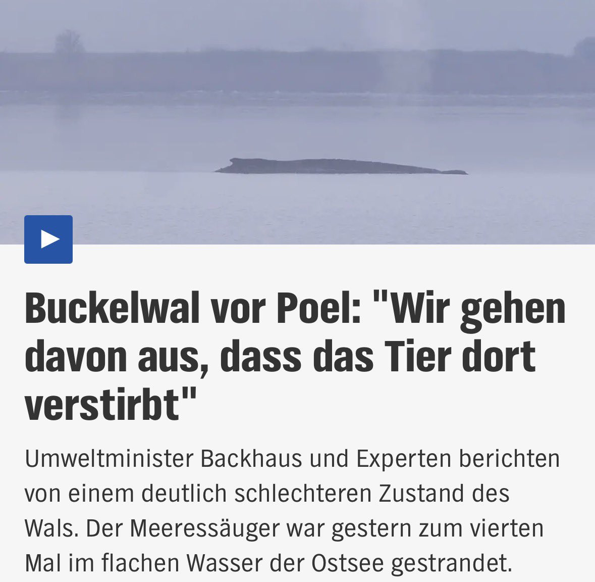 🧱 🄱🅁🅄🄽🄾 🄱🄰🄲🄺🅂🅃🄴🄸🄽 🧱 tweet media