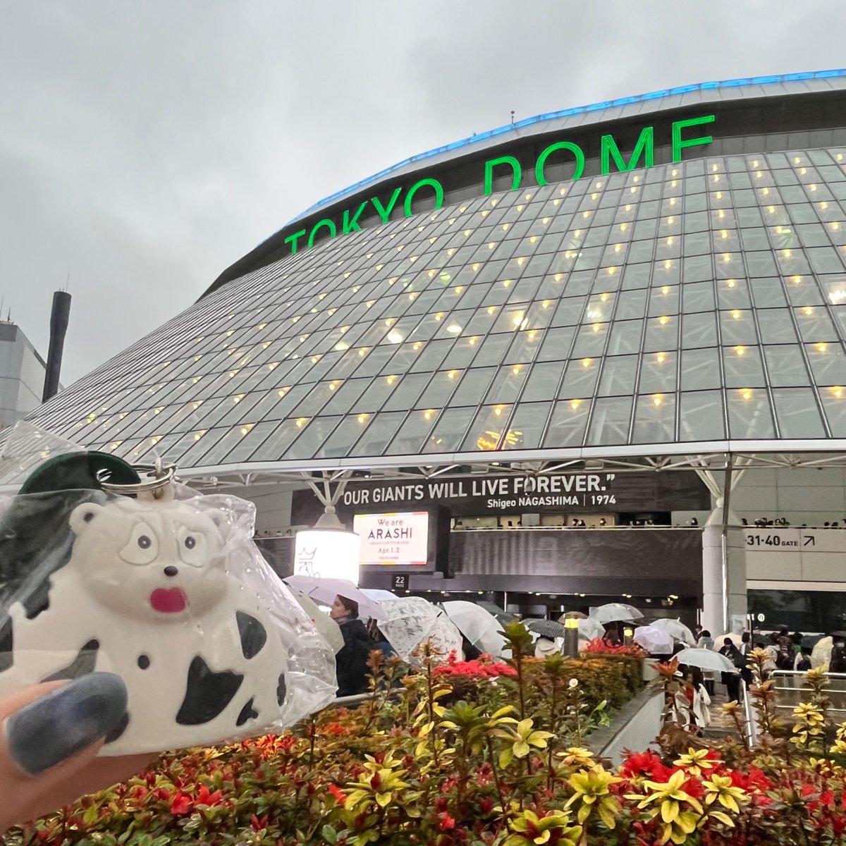 🇰🇷😬しょごベビ🍰 tweet media