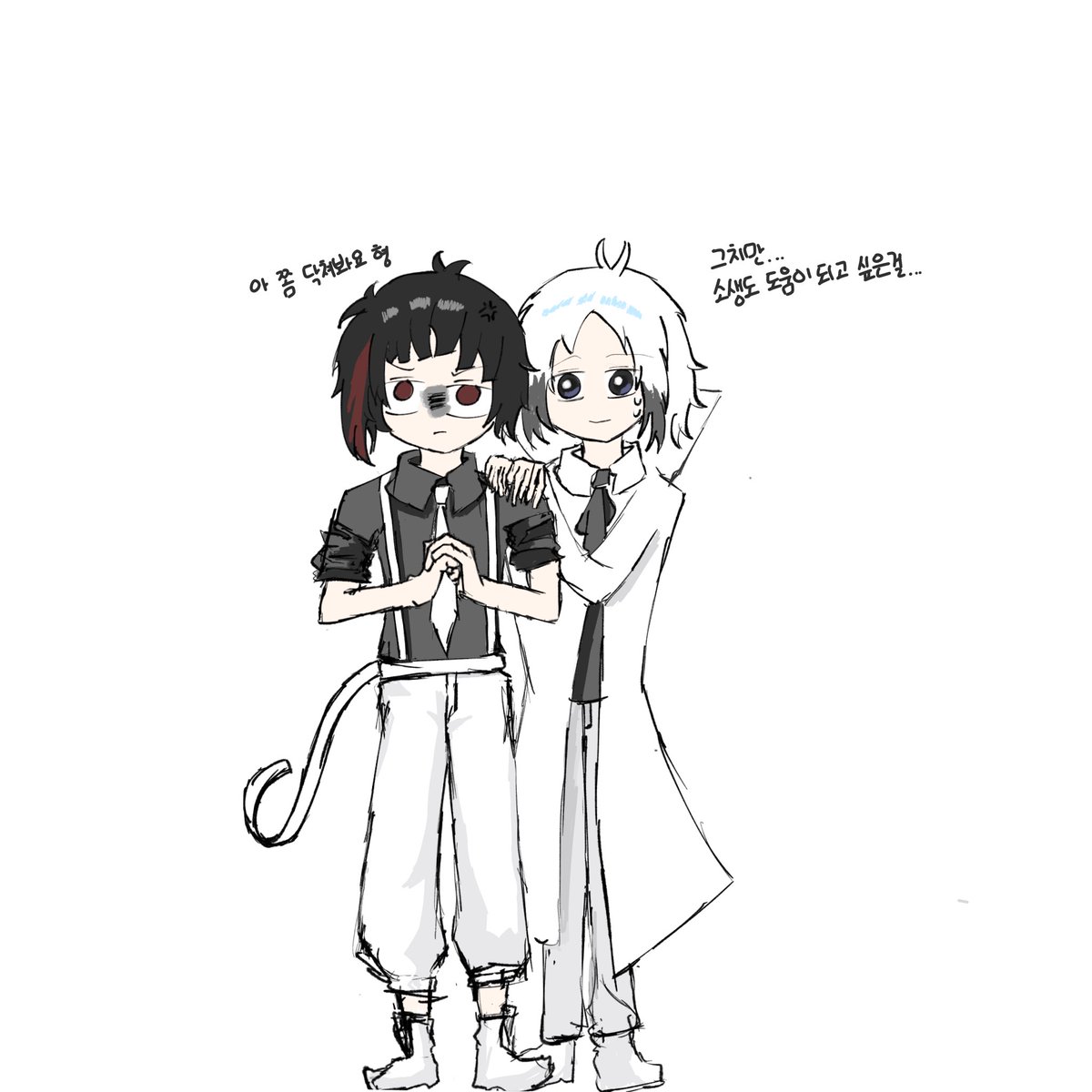 호지차 tweet media