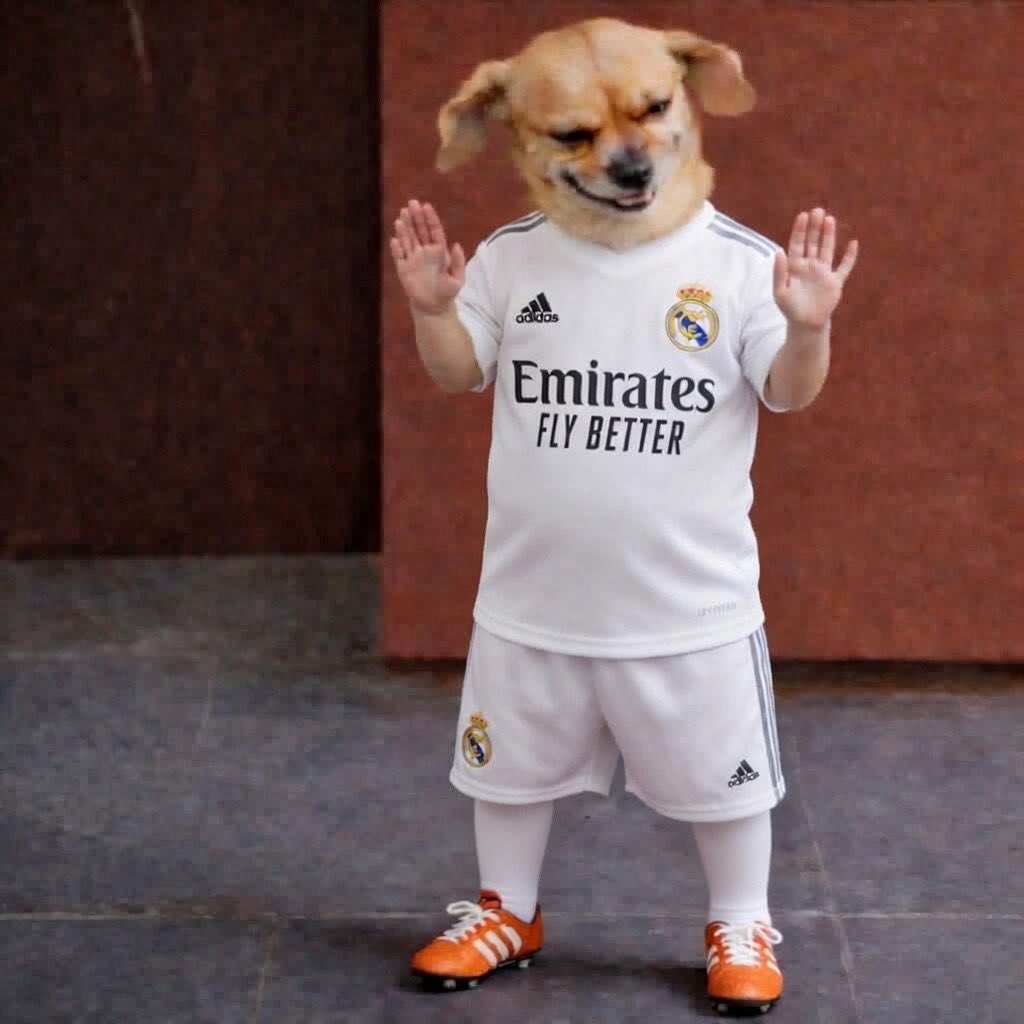 Awesome👻 tweet media