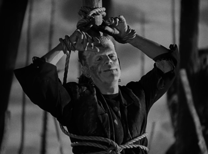 Stephen Gibbons tweet media