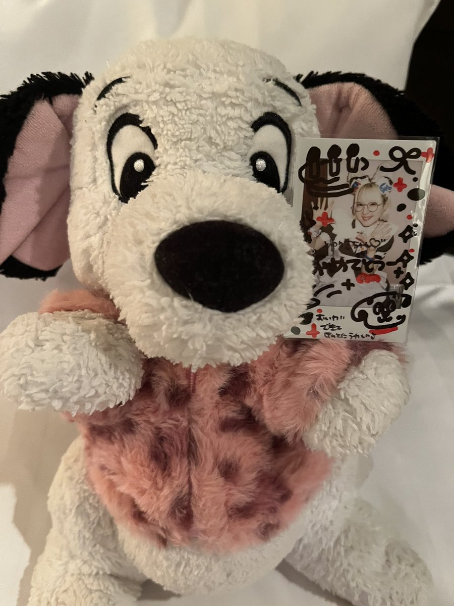 ☆ゆりぽん☆ tweet media