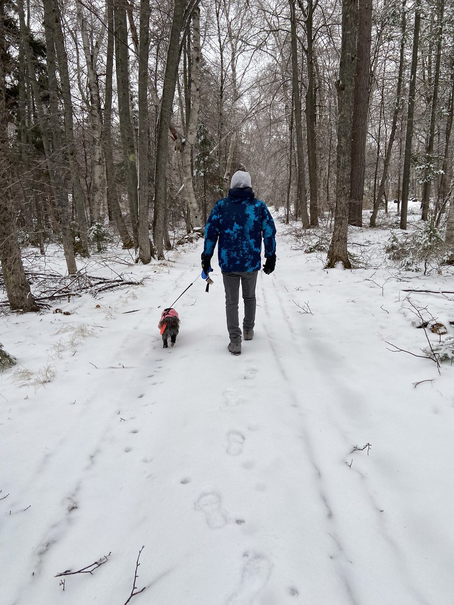 Cedar Shih Tzu 🐶/ Angel Coffee Tzu 🐶🌈🇨🇦 tweet media