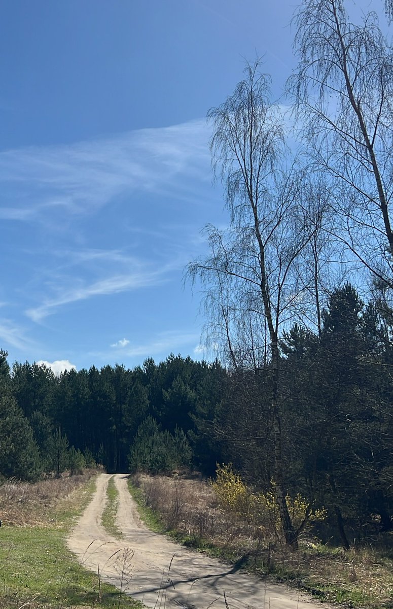 𝓖𝓸𝓼𝓲𝓪 𝓜𝓪𝓵𝓴𝓸𝔀𝓼𝓴𝓪 tweet media