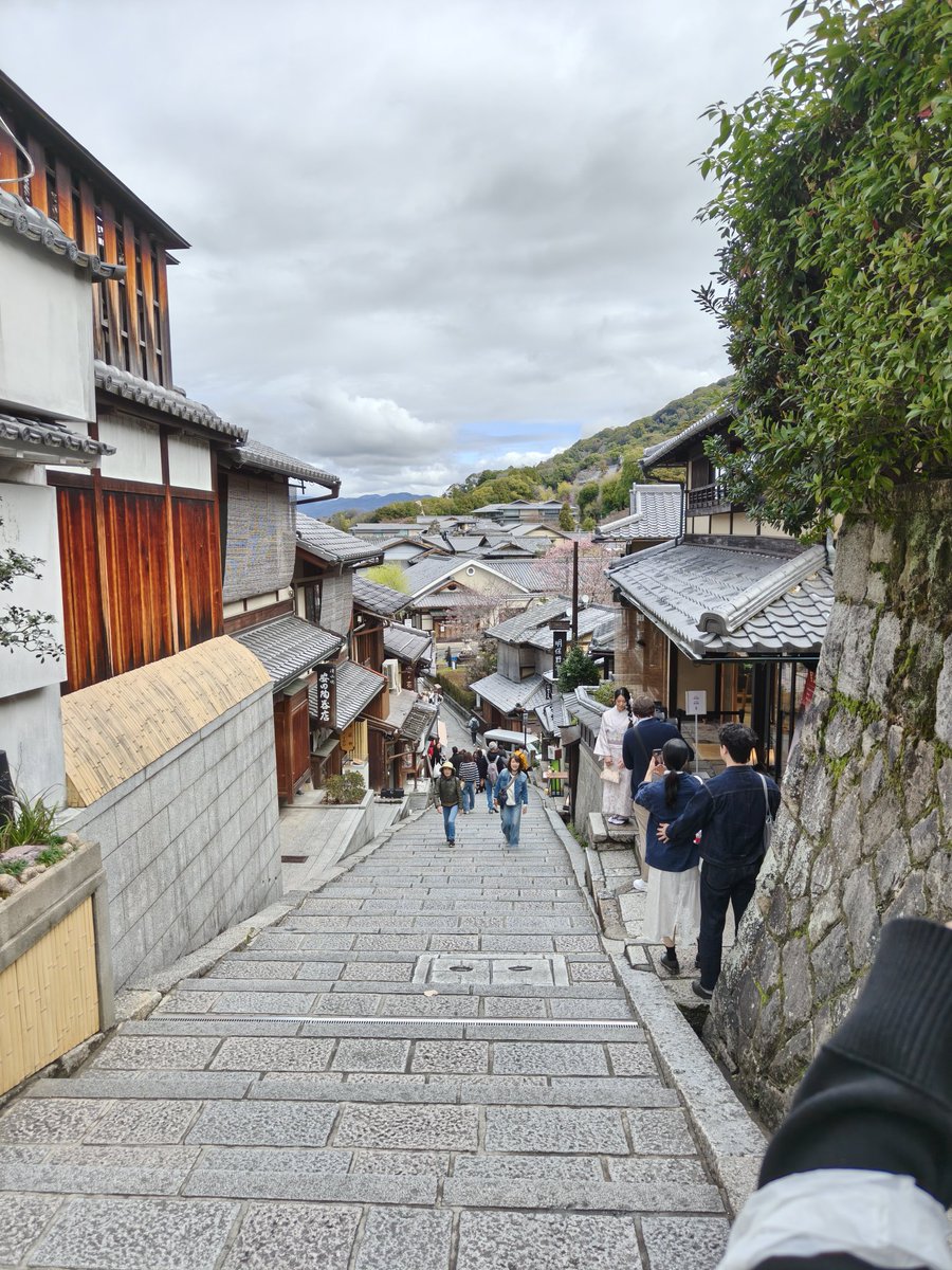 Nanamiao～🏳️‍⚧️ tweet media