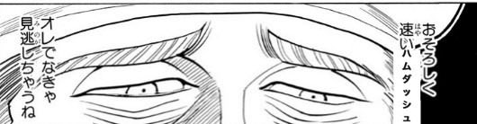 ぴっぴこ!ピィピ丸【うちの子可愛いログ】 tweet media