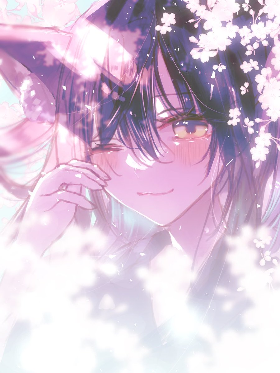 はるねこ🐈‍⬛ tweet media